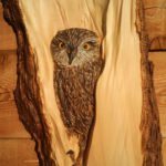 Owl in a Wood Model