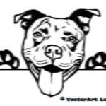 American Pit Bull SVG Clipart Vector Cricut Cut Cutting