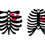 Mickey Mouse Rib Cage SVG Disney Halloween SVG Skeleton Vector SVG Files